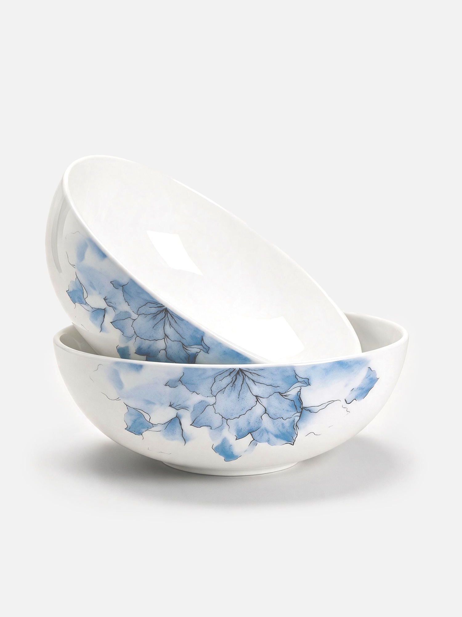 Набор из 2 суповых тарелок Savosa Aquarelle collection 19 см, костяно…