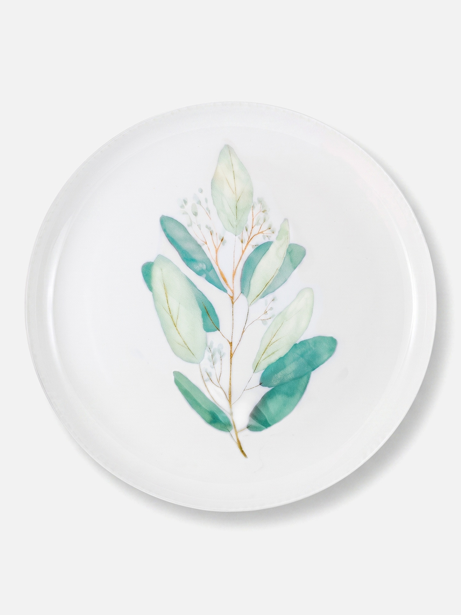 Набор из 2 обеденных тарелок Savosa Eucalyptus collection 23 см, кост…, изображение 2